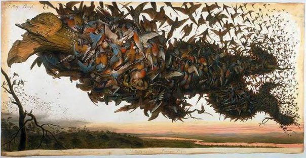 Pigeons by Walton Ford